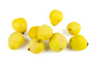 Beyaz arka planda Maules quince (Chaenomeles japonica) izole edildi