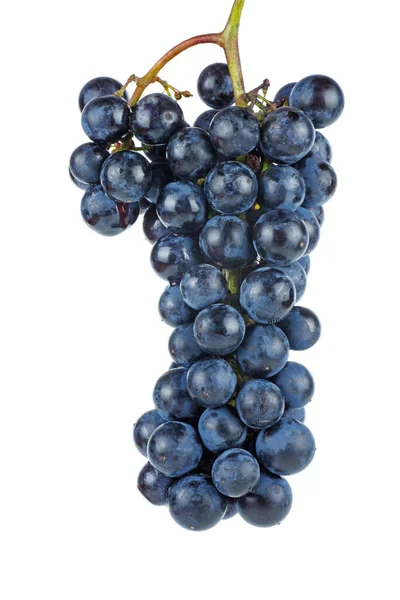 Dark Blue Grape Isolated White Background — Stock Photo, Image