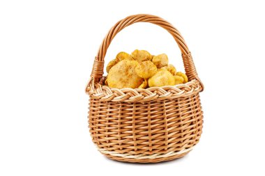 Beyaz arka planda taze mantarlı hasır sepet.