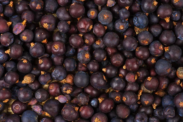Dried Juniper Berries Background Natural Background — Stock Photo, Image
