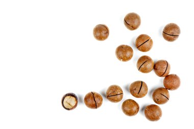 Beyaz arka planda kabuklu ve kabuksuz Macadamia fındıkları