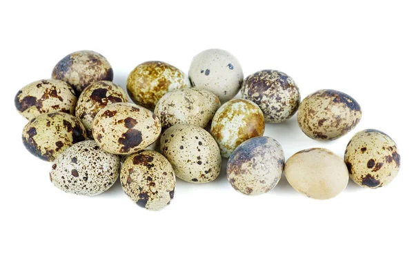 Some Quail Eggs White Background — Stock Photo, Image