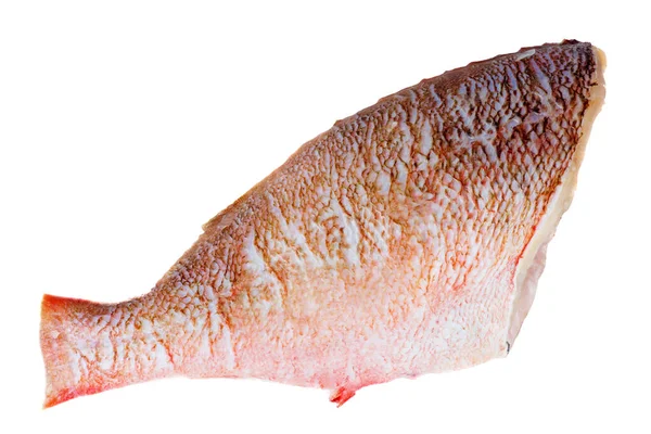Färdiga Att Laga Röd Abborre Fisk Isolerad Vit Bakgrund — Stockfoto