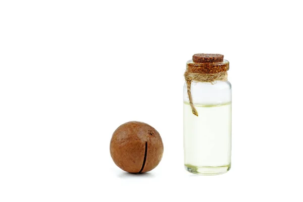 Unshelled Macadamia Nut Oil White Background — Stock Photo, Image