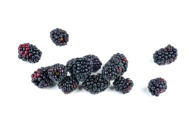 Beyaz arkaplanda izole edilmiş böğürtlen