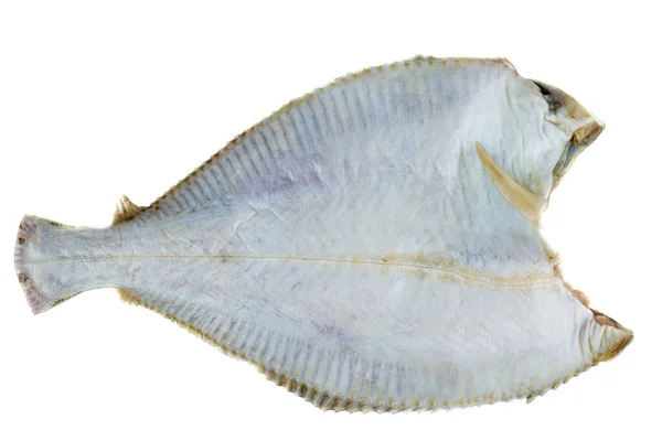 Diseboweled Beheaded Fresh Raw Flatfish Isolated White Background — Stock Photo, Image