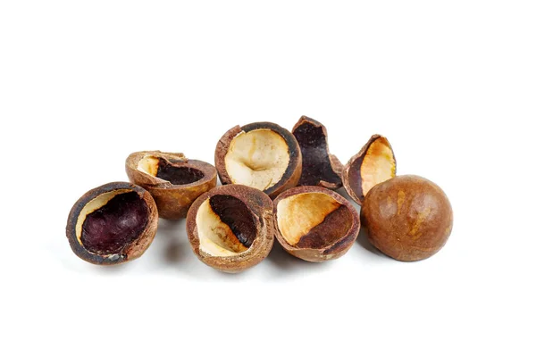 Conchas Nueces Macadamia Sobre Fondo Blanco — Foto de Stock