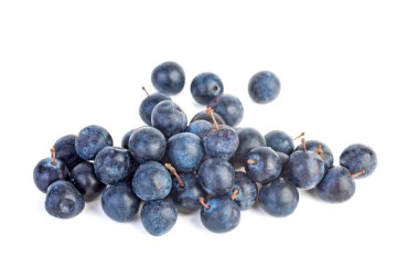 Beyaz arkaplanda çok az böğürtlen var.