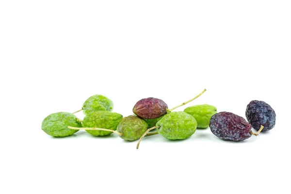 Grüne Und Schwarze Welke Olivenfrüchte Isoliert Auf Weißem Hintergrund — Stockfoto