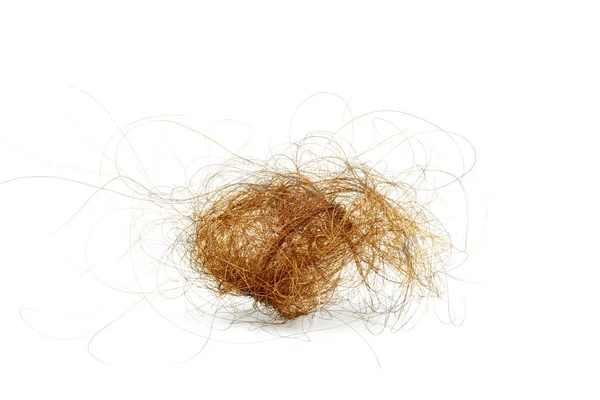 stock image Ball of hair isolated on white background