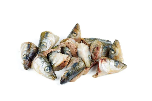 Garbage Raw European Smelt Fish Heads Isolated White Background — Stock Photo, Image