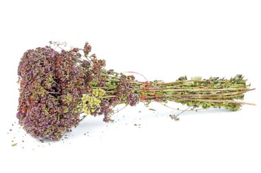 Kurutulmuş Oregano (Origanum vulgare) otları beyaz arka planda izole edilmiştir..
