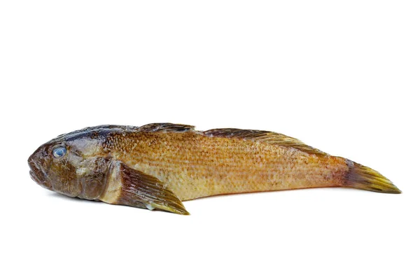Čerstvé Kulaté Goby Ryby Izolované Bílém Pozadí — Stock fotografie