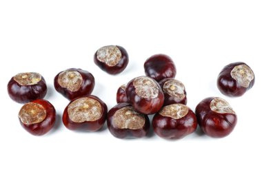 Beyaz arkaplanda at kestaneleri izole