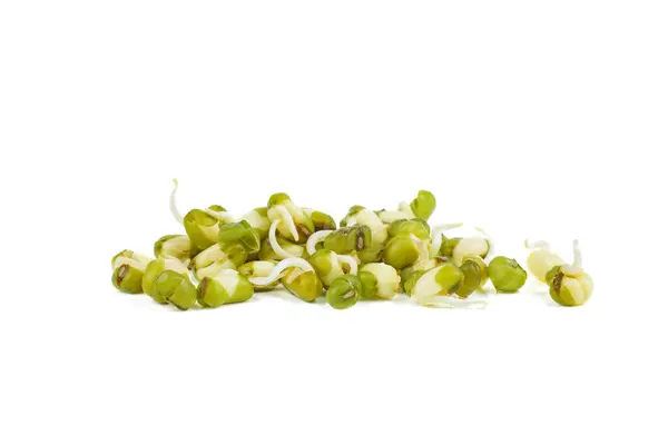 Germinated Seeds Mung Bean Isolated White Background — Stock Photo, Image