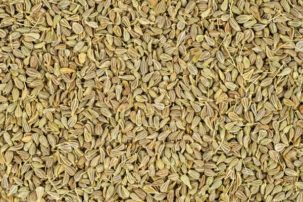 Food Background Dried Anise Seeds — Stock Photo, Image