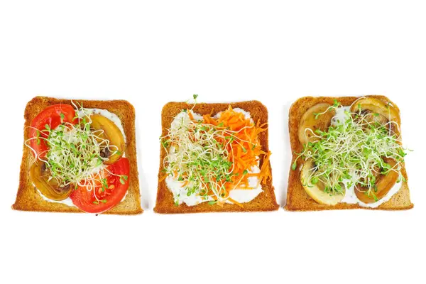 绿色苜蓿芽 新鲜的干西红柿和烤好的全麦面包片 背景为白色 免版税图库图片