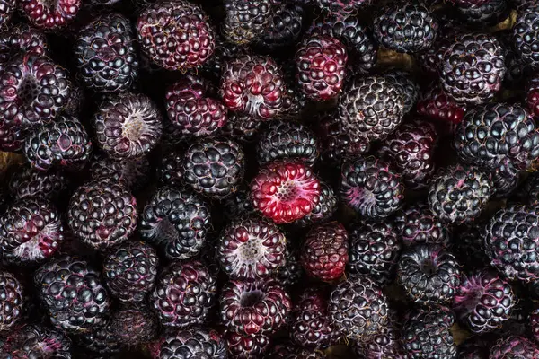 Black Raspberries Background Food Background Stock Picture