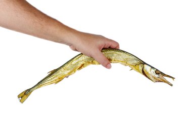 Hand hold smoked garfish isolated on a white background clipart