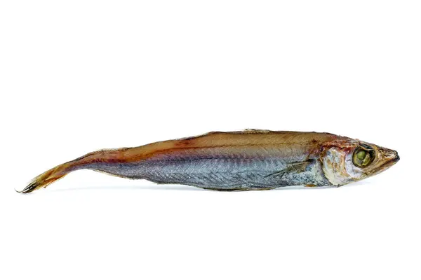 白い背景に隔離された塩魚 マイクロメスティス ロイヤリティフリーのストック写真