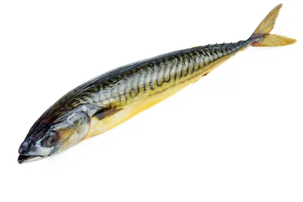 Копченая Рыба Mackerel Изолирована Белом Фоне Лицензионные Стоковые Фото