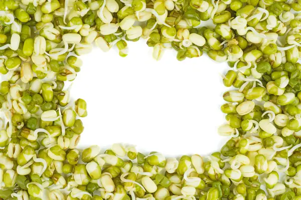 从白色背景中分离出来的绿豆种子 免版税图库照片
