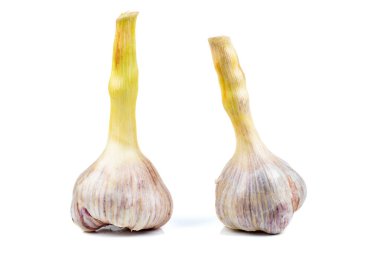 Two young garlic heads isolated on white background