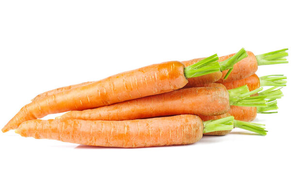 Куча свежей моркови на белом фоне
