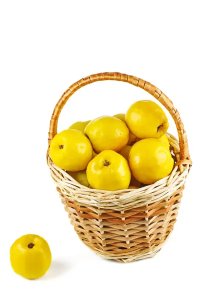 stock image Maules quince (Chaenomeles japonica) in wicker basket isolated on white background