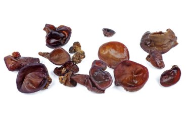 Rehidre edilmiş siyah katır mantarı beyaz arka planda izole edilmiş.