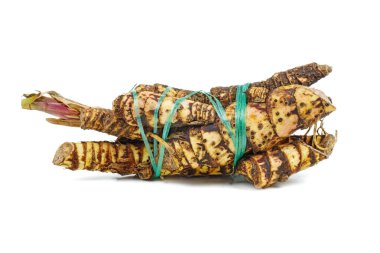 Fresh Acorus calamus (also called sweet flag or calamus) roots isolated on white background