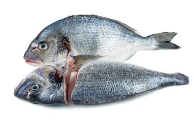 Beyaz arka planda izole edilmiş taze Dorado balığı pişirmeye hazır..