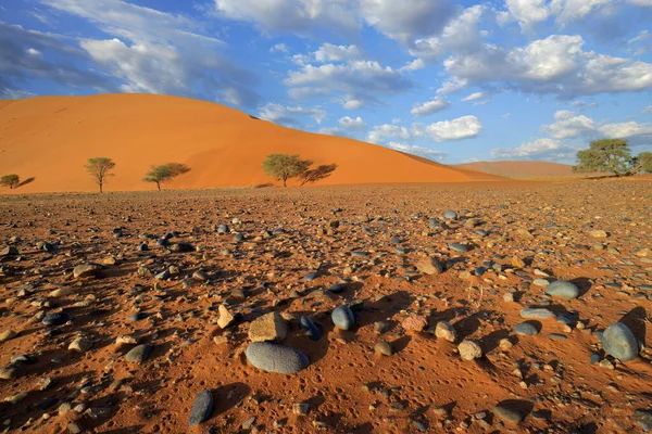 Taştan Çakıl Taşları Kırmızı Kum Tepecikleriyle Çorak Ovalar Sossusvlei Namib — Stok fotoğraf