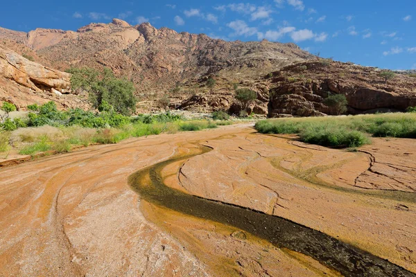 Verschlungener Flüchtiger Fluss Der Zerklüfteten Landschaft Des Brandbergs Namibia — Stockfoto