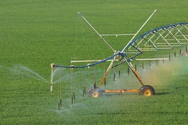 Water Sprinklers Center Pivot Irrigation System Lush Green Crops — Stock Photo, Image
