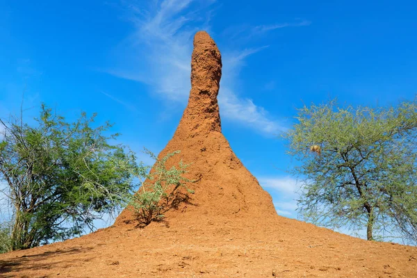 Massive Termite Mound Blue Sky Northern Namibia — Zdjęcie stockowe
