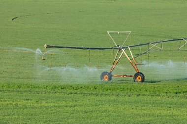 Water sprinklers of a center pivot irrigation system on lush green crops