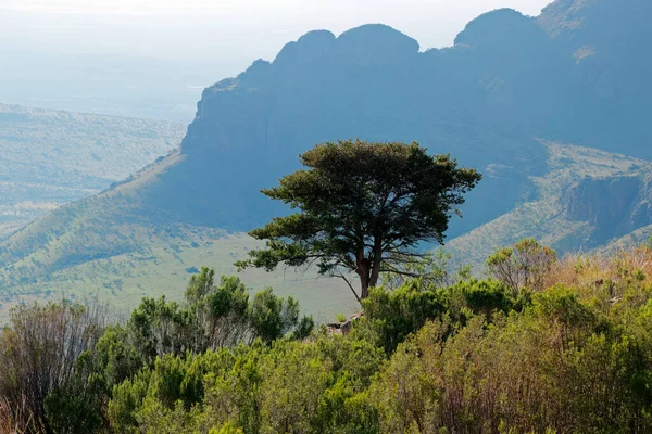 Krajobraz Malowniczej Góry Sawanny Park Narodowy Marakele Republika Południowej Afryki — Zdjęcie stockowe