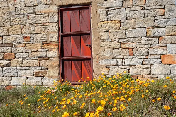 Porta Enferrujada Antigo Celeiro Rural Com Margaridas Coloridas Namaqualand Northern Imagens De Bancos De Imagens