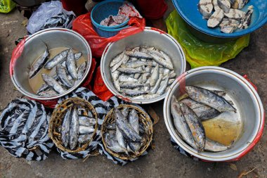 Ubud, Bali, Endonezya sokaklarında geleneksel bir açık pazarda küçük balıklar satılıyor