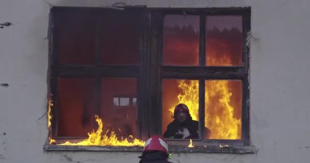 Πυροσβέστης Ήρωας Που Μεταφέρει Γάτα Έξω Από Φλεγόμενο Κτίριο Από — Αρχείο Βίντεο