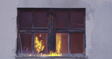 İtfaiyeci kahraman yangından sonra kediyi yanan binadan dışarı taşıyor. Hayvanı tehlikeli bir yerden kurtarmak. Takım çalışması konsepti. Yüksek kaliteli yavaş çekim görüntüleri