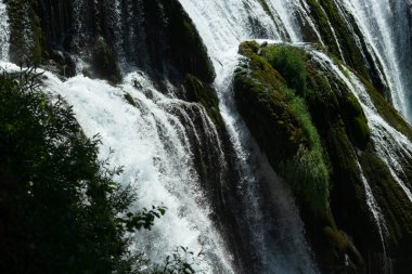 Yazın temiz su ve ormanlarda güzel nehir şelalesi manzarası. Yüksek kalite fotoğraf