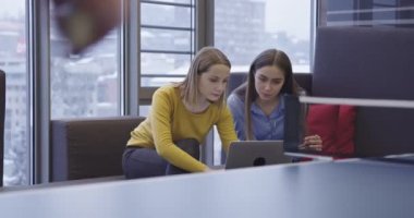 Günlük iş hayatına başlamak. İş adamları modern yaratıcı ofis alanında masa tenisi oynarken bir grup kadın iş arkadaşı proje üzerinde çalışıyor ve arka planda buluşuyorlar. Yüksek kalite