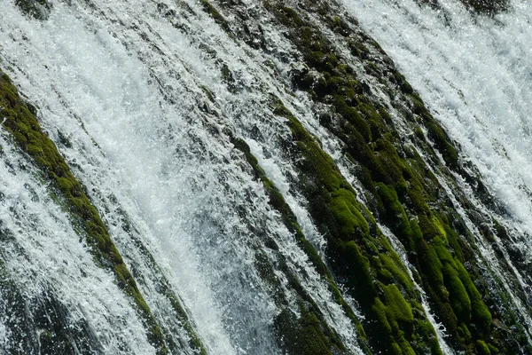 美丽的河流瀑布景观自然在夏天清澈的水和森林 高质量的照片 — 图库照片