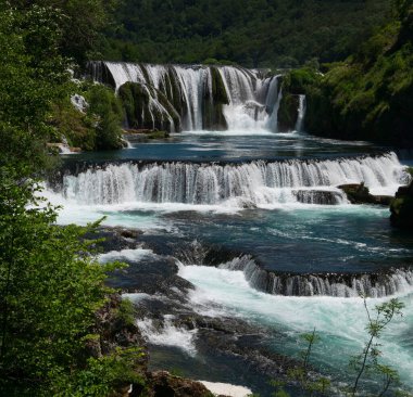 Yazın temiz su ve ormanlarda güzel nehir şelalesi manzarası. Yüksek kalite fotoğraf