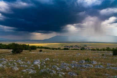 Mavi gökyüzü, beyaz bulutlar, tarımsal alanlar, çayırlar, yeşil ağaçlar... Bir yaz günü drone 'dan panoramik görüntü. Yüksek kalite fotoğraf