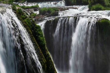 Yazın temiz su ve ormanlarda güzel nehir şelalesi manzarası. Yüksek kalite fotoğraf