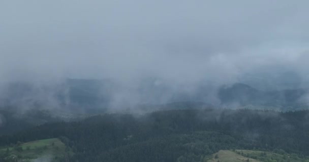 Nubes Niebla Bosque Pinos Descendiendo Por Encima Vista Aérea Drone — Vídeos de Stock