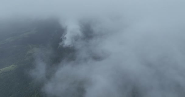 Nubi Nebbia Pineta Discendente Aerea Vista Dall Alto Drone Video — Video Stock